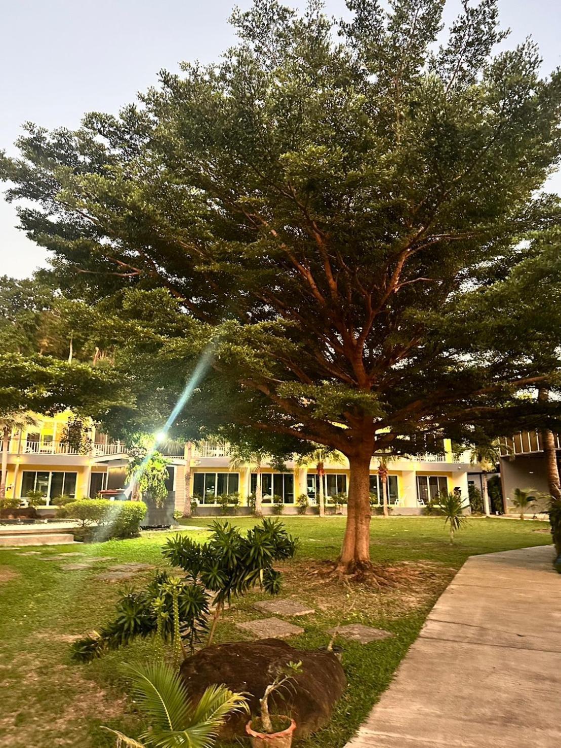 Gypsy Sea View Resort- Phi Phi Island Exterior foto